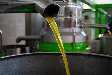 Extraction of oil from olives in a modern farm, cold-press factory after the olive harvesting,...