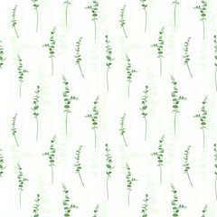 Eucalyptus leaf seamless pattern. design background. Vector illustration