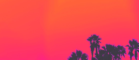 Beautiful sunset of Los Angeles palm trees synth wave style