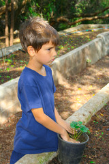 Planting in a Pot