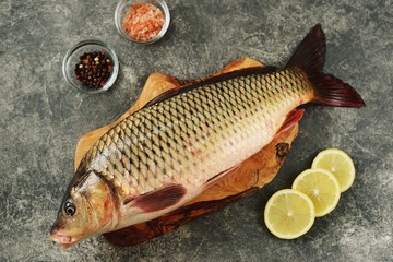 Fresh live raw carp. Fresh river fish. Wild fish. Top view. 