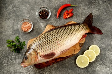 Fresh live raw carp. Fresh river fish. Wild fish. Top view. 
