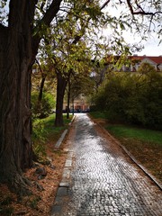 Naklejka premium prague