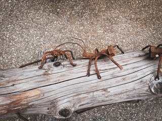 An ant and spider built from screws and nails. Random work of artistic decoration on a log. Rusty animals. Asphalt