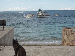 Turkey、トルコ旅行、トルコ、呂公、世界遺産、遺跡、カッパドキア、海、猫、船、気球