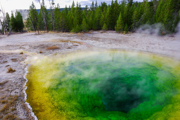 イエローストーン国立公園