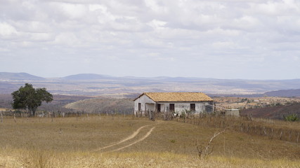 Casa Paisagem Sert&atilde;o da Bahia