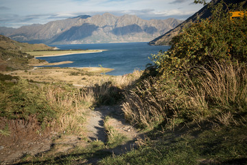 New Zealand's south Isalnd - lake & bush land