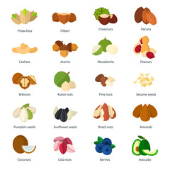 Set of Nuts icons flat vector illustration