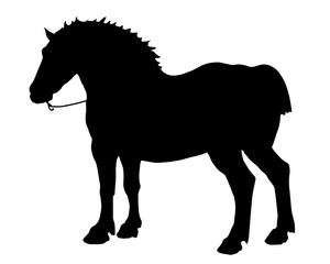 powerful black silhouette horse on white background, isolated image, picture 