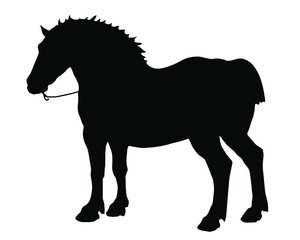 black silhouette of a powerful horse on a white background, isolated vector images, pictures 