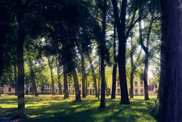 Green park in old European town at summer day