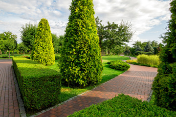 a park with boxwood hedge and evergreen thuja with winding sidewalks for walks among plants with clouds in the sky on sunny summer day.