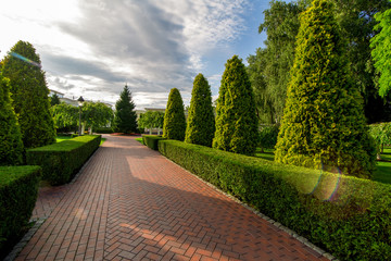 a pedestrian footpath from paving slabs in the garden with hedge of evergreen thuja and clouds in the sky with sun flare.