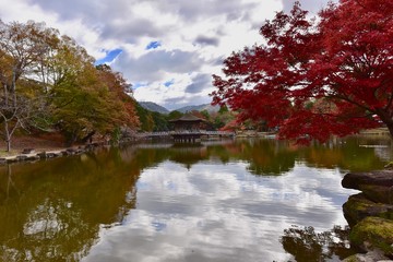 autumn landscape with river and trees