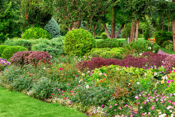 a landscape design colorfully flowerbed with lots flowers and plants in the well groomed garden.