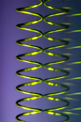 abstract green spring purple background