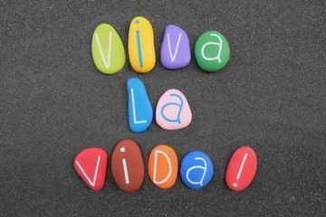 Viva la Vida, spanish Live Life composed with multi colored and carved stone letters over black...