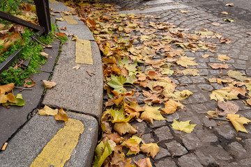 Gros plan sur tas de feuille à l'automne avec effet bokeh
