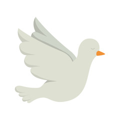 Isolated dove bird vector design