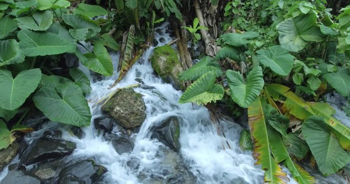 tamul waterfall mexico