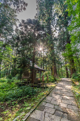 Naklejka premium Atago Shrine at Mount Haguro, One of the three sacred mountains of Dewa Province (Dewa Sanzan). Located in Yamagata Prefecture, Japan. Sugi trees (Cryptomeria japonica) or Japanese Cedar
