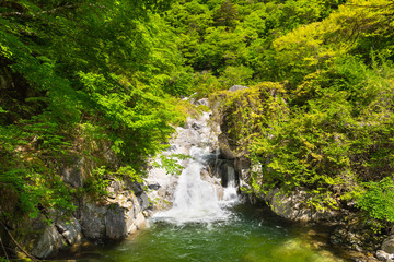 Fototapeta premium Asahi Falls