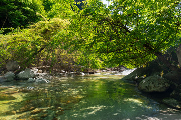 Ojiragawa Valley