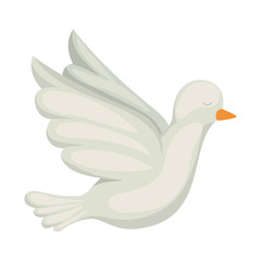 Isolated dove bird vector design