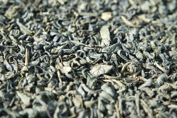 Close-up view of green tea dried leaves or stevia rebaudiana