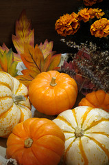 Thanksgiving Blessing Celebrating, pumpkins in a basket still life