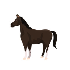 black horse icon, flat design