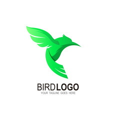 Bird logo with animal design vector