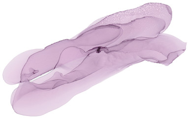 Hand painted ink texture. Abstract background