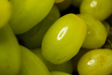 Uvas verdes