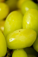 grapes on green background