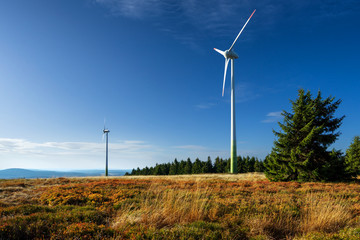 Wind turbines in autumn mountain landscape with golden dry grass and red-colored blueberry bushes