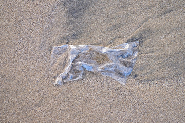 A plastic bag on wet hard sand, problem of pollution in seas and oceans.