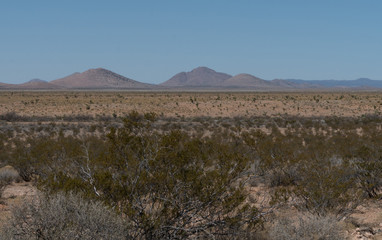 Luna county, southwest New Mexico desert.