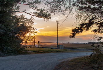 Alabama Dirt Road at Sunset
