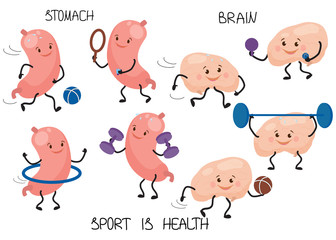 Cute, cartoon human organ, stomach and brain.