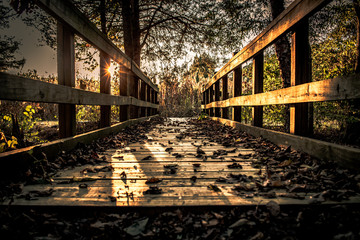 Wooden bridge on a garden path
