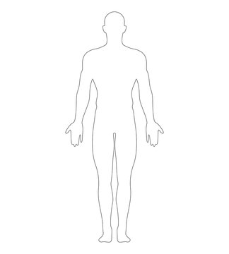 Anatomical Position Anterior View Male Body Vector Outline.