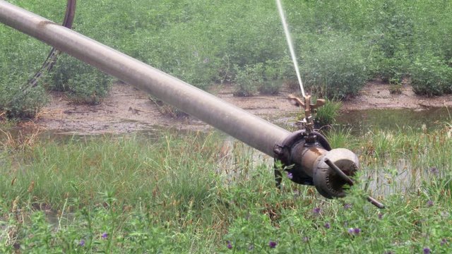 Sprinkler head of a rolling irrigation system rotating slowly right