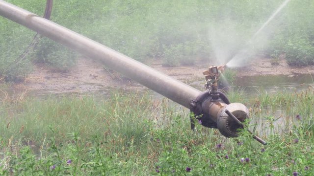 Sprinkler from a rolling irrigation system rotating fast to the left