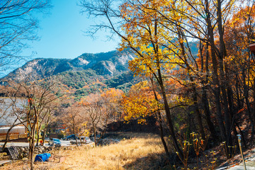 Fototapeta premium Gyeryongsan National Park autumn mountain in Gongju, Korea