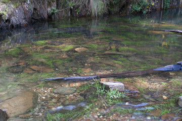 Lerderderg State park - Tunnel walk