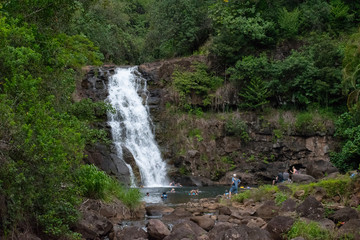 waterfall in forest
