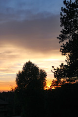 Fototapeta na wymiar Beautiful Sunset with Trees Silhouetted