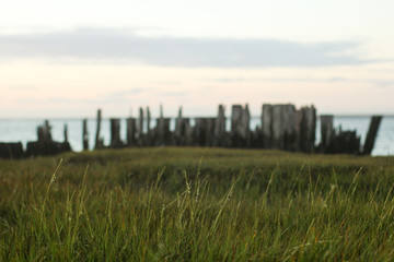 Fototapeta na wymiar Soft Sunrise on Marsh Grasses with Pylons in Background